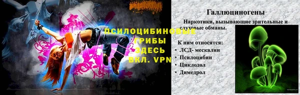 СК Волоколамск